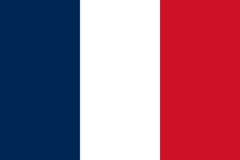 لویی ویتون پرچم فرانسه